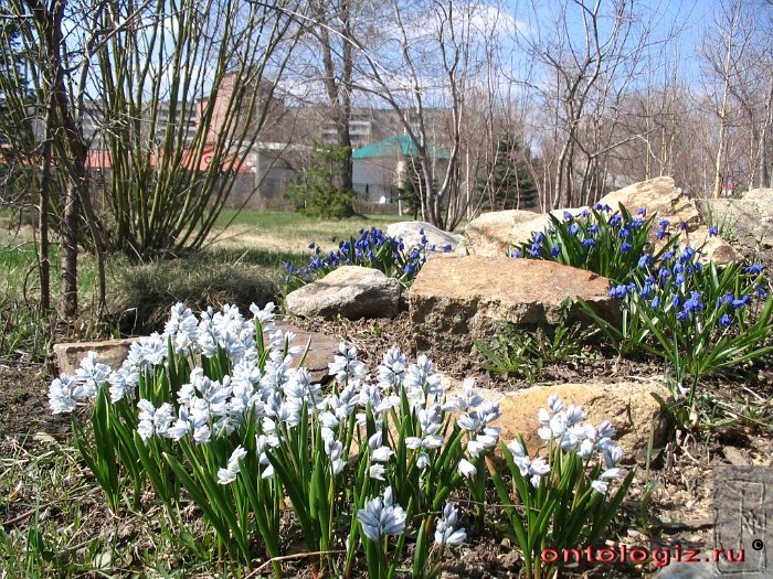 park (11)